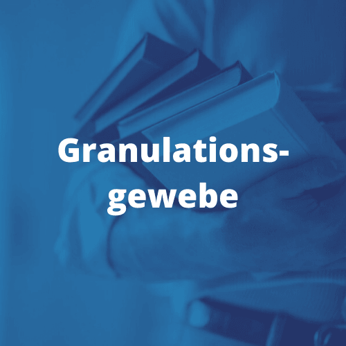 Granulationsgewebe Wundheilungsphasen